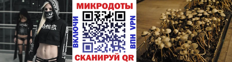 MEGA ссылка Кемь Галлюциногенные грибы мицелий
